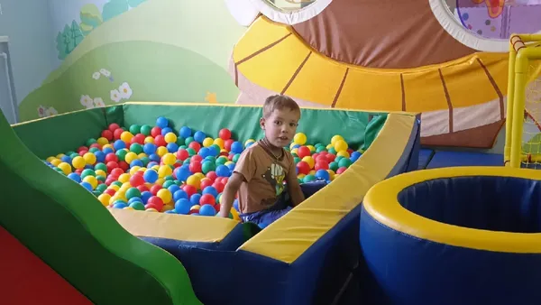 Описание изображения