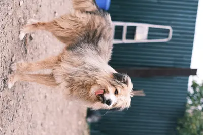 Обложка сбора