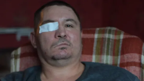 Описание изображения