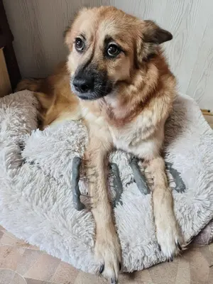 Обложка сбора