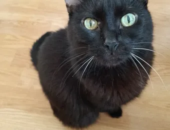 Для лечения цистита и проблем с поджелудочной железой Маше нужна помощь