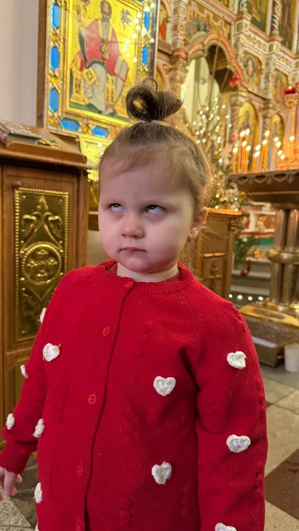 Описание изображения