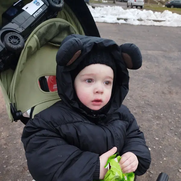 Описание изображения