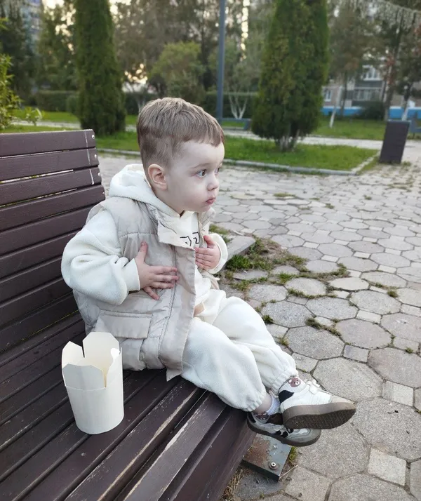 Описание изображения