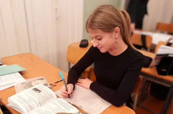 Описание изображения