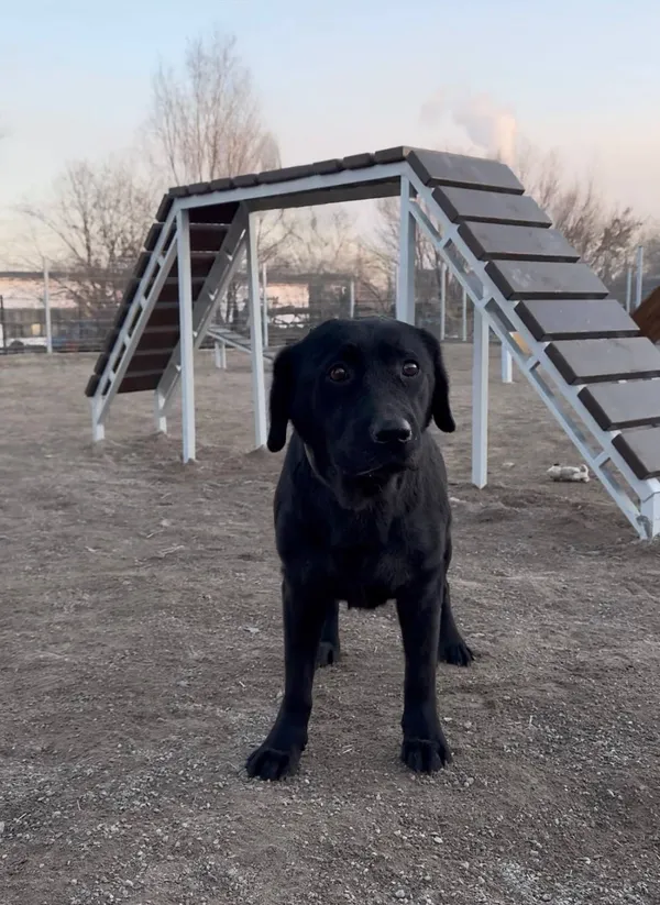 Описание изображения