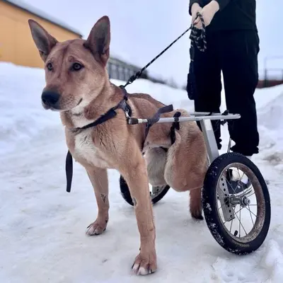 Обложка сбора