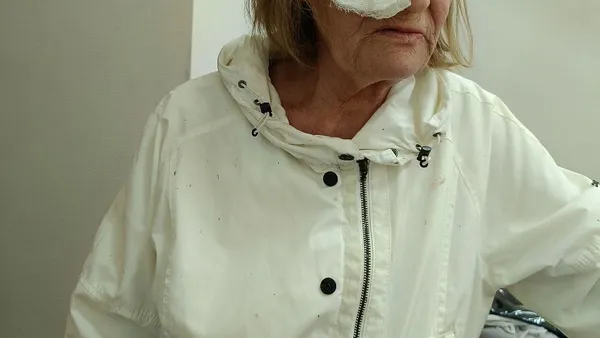 Image description