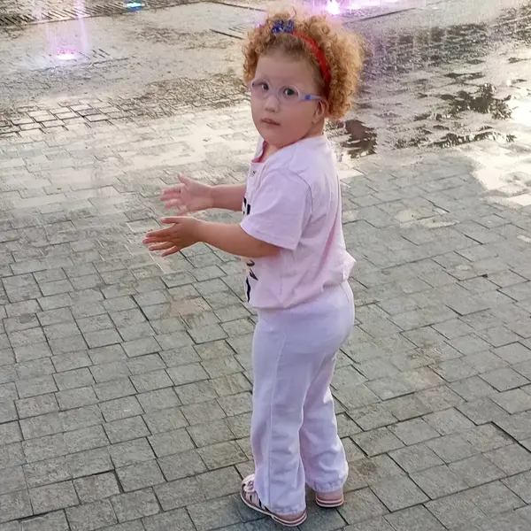 Описание изображения