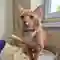 Campaign cover
