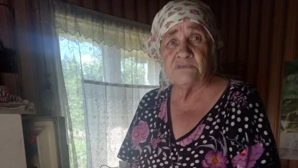 Описание изображения
