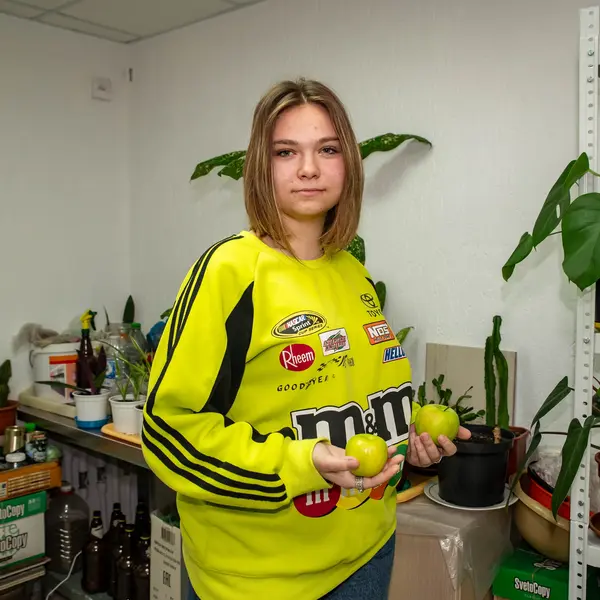 Описание изображения