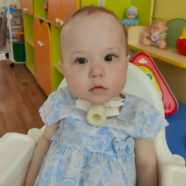 Описание изображения