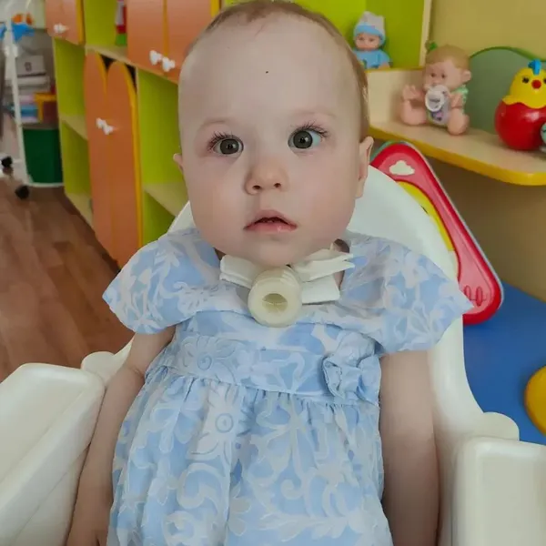 Описание изображения