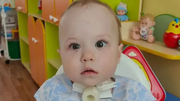 Описание изображения