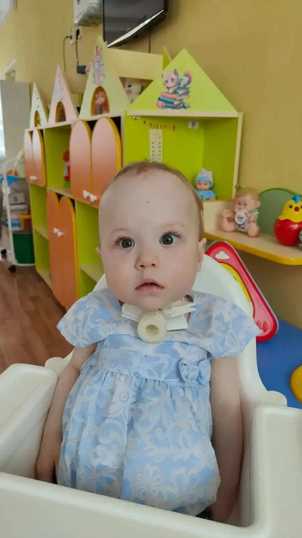 Описание изображения
