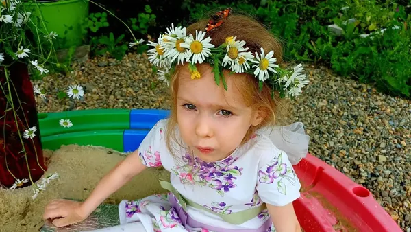 Описание изображения