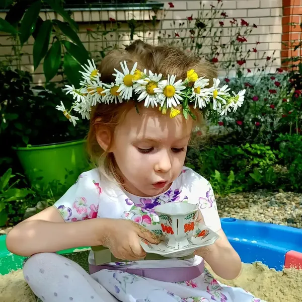 Описание изображения