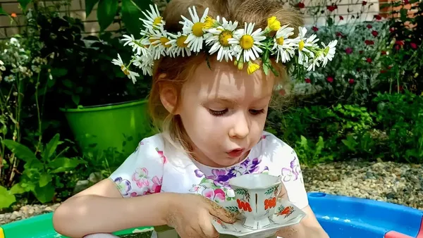 Описание изображения