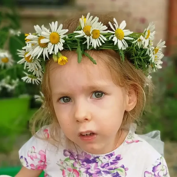 Описание изображения