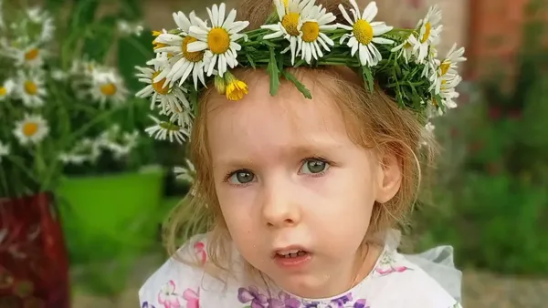 Описание изображения