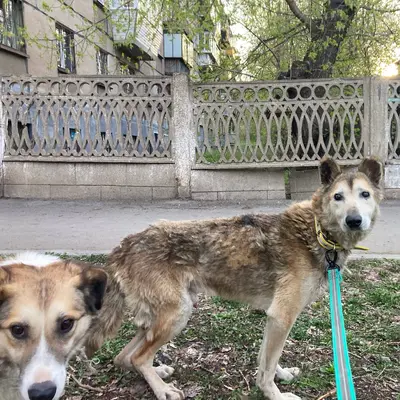 Обложка сбора