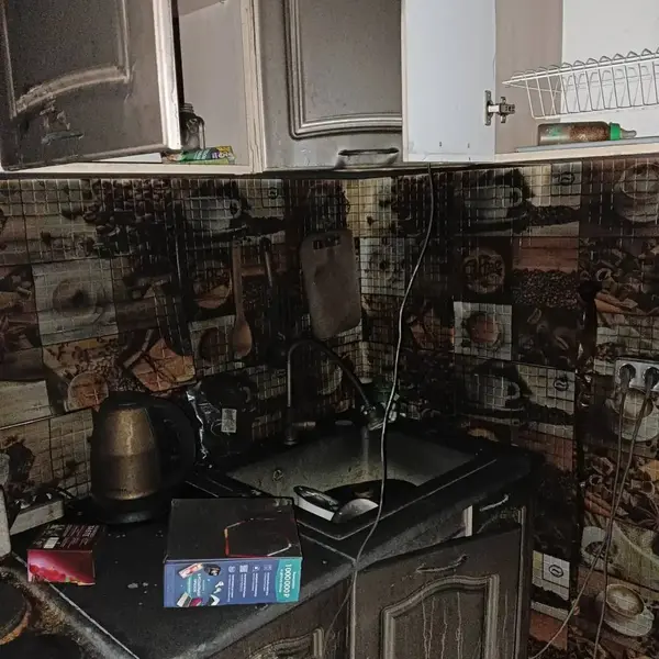 Описание изображения