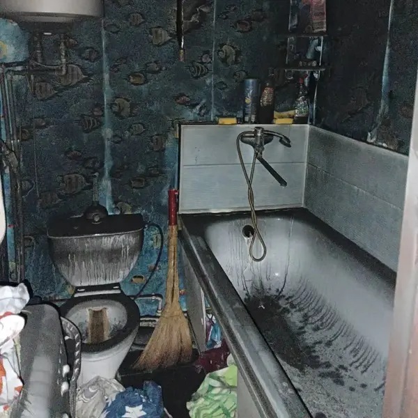 Описание изображения