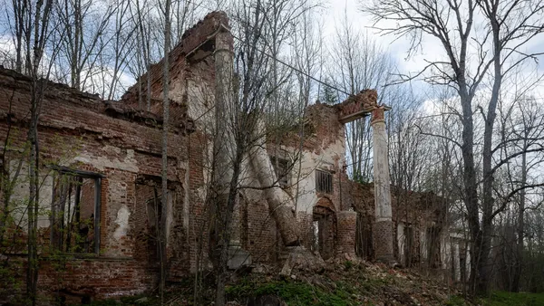 Image description