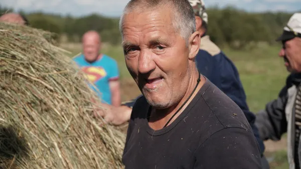 Описание изображения