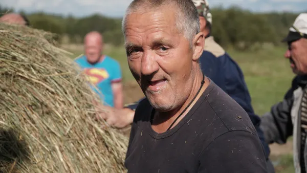 Описание изображения
