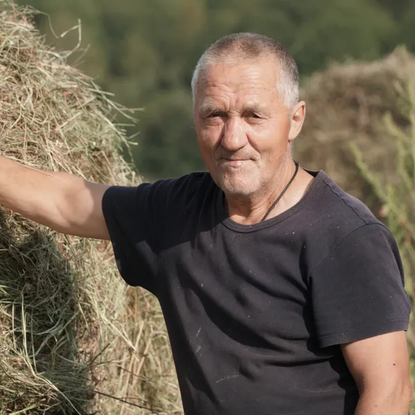 Описание изображения