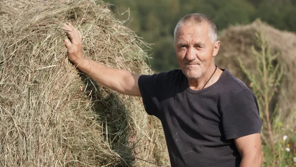 Описание изображения
