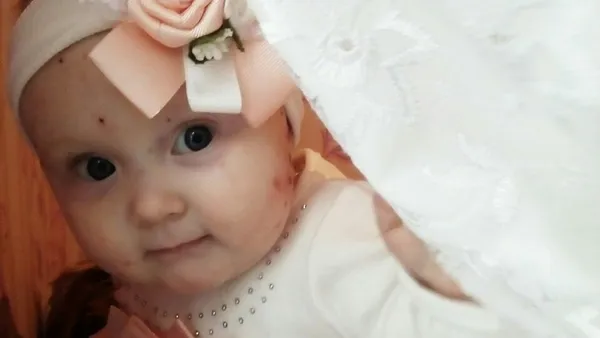 Описание изображения