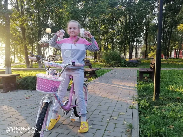 Описание изображения