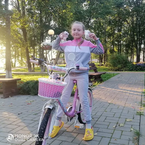 Описание изображения
