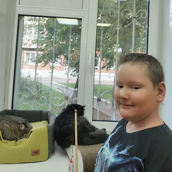 Описание изображения