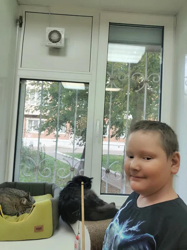 Описание изображения