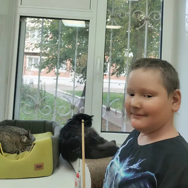 Описание изображения