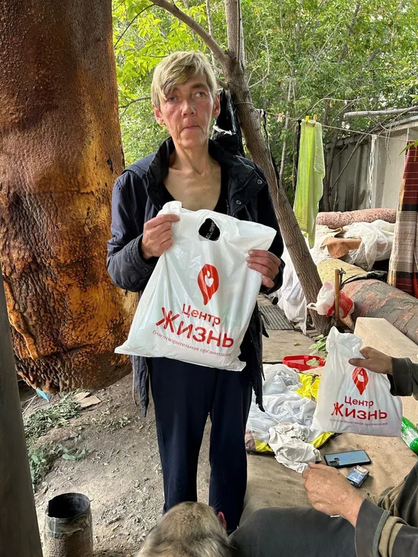 Описание изображения