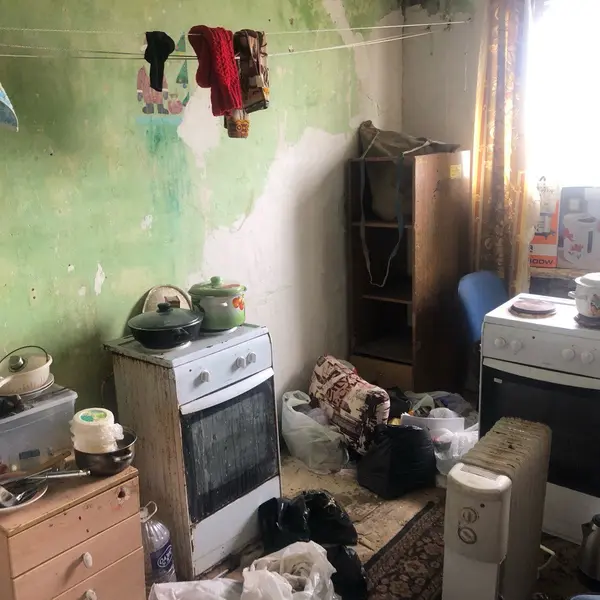 Описание изображения