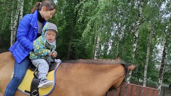 Описание изображения