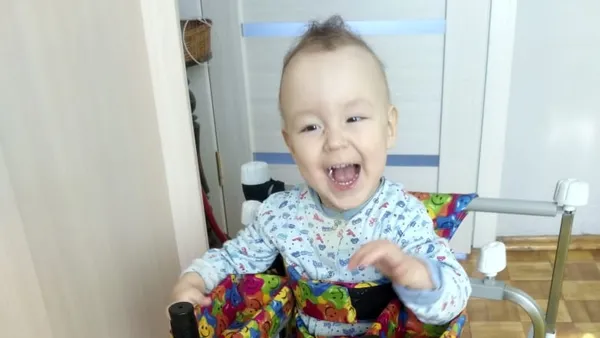 Описание изображения