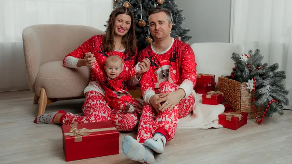 Описание изображения