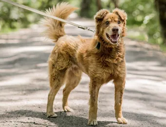 После ДТП Джек нуждается в контроле за здоровьем 