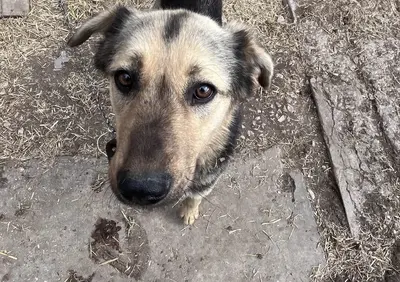 Обложка сбора
