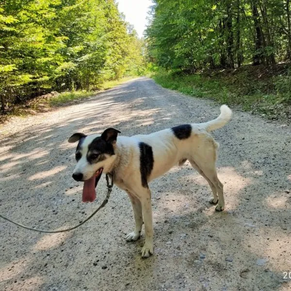 Image description