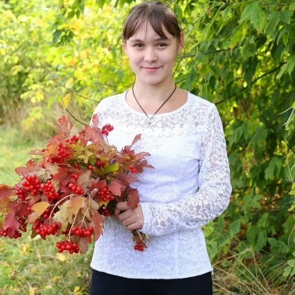 Описание изображения