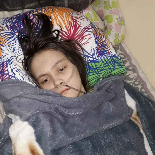 Описание изображения