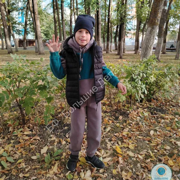 Описание изображения